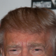 Illustration for article titled Donald Trump Defends His Head-Merkin